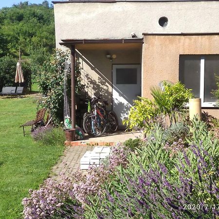 Apartman Lenka II Borsice エクステリア 写真