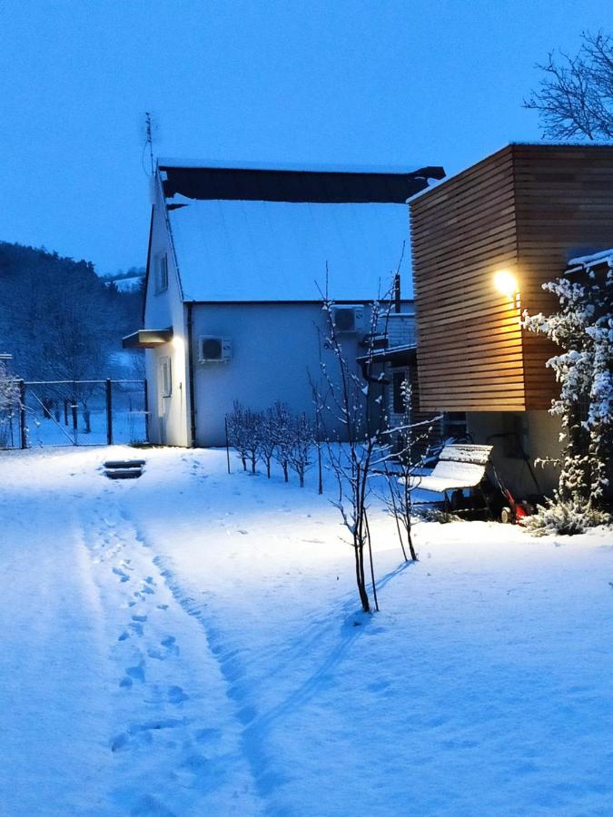 Apartman Lenka II Borsice エクステリア 写真